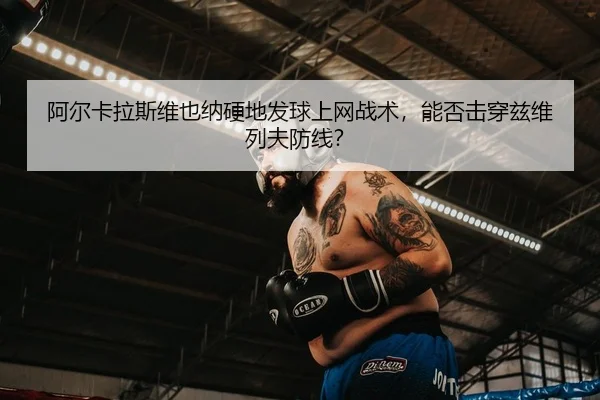 阿尔卡拉斯维也纳硬地发球上网战术，能否击穿兹维列夫防线？