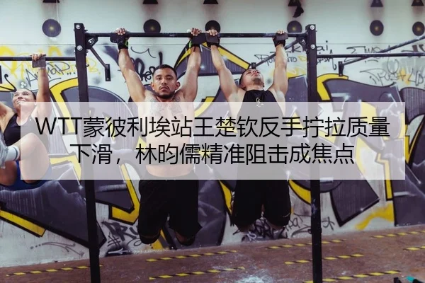WTT蒙彼利埃站王楚钦反手拧拉质量下滑，林昀儒精准阻击成焦点 | yaxin